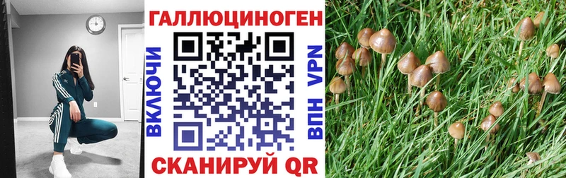 Псилоцибиновые грибы мицелий ссылка на мегу ССЫЛКА Конаково